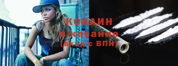 тгк Болотное