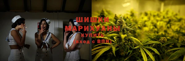 твердый Пересвет