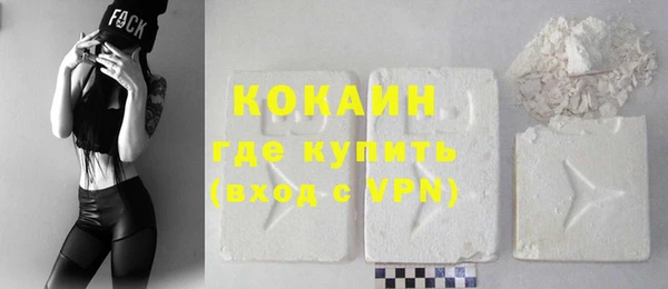 крисы Баксан
