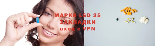 крисы Баксан