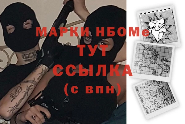 шишки Пестово