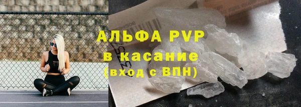 гидра Аркадак